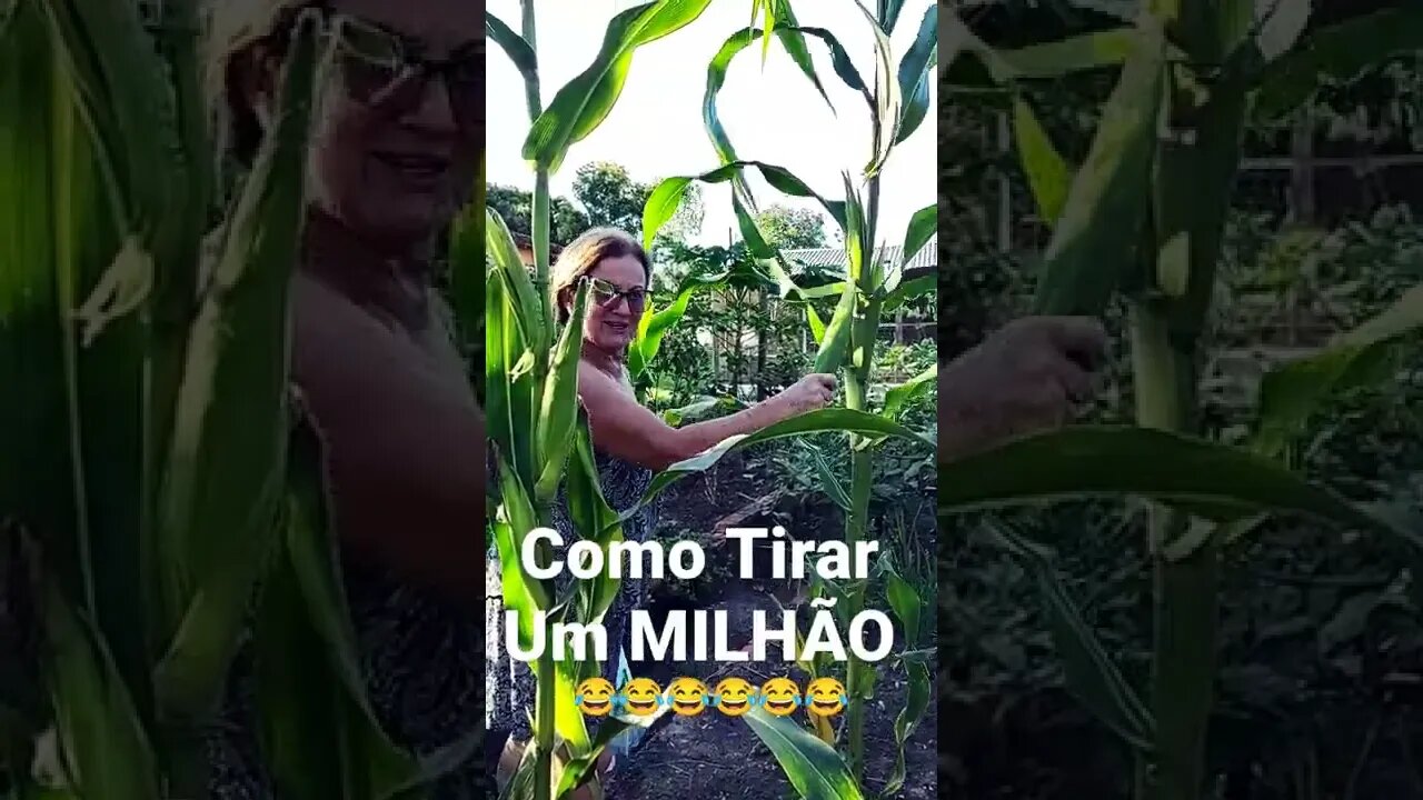 Como Tirar Um MILHÃO #haraseconfinamentoprofeta