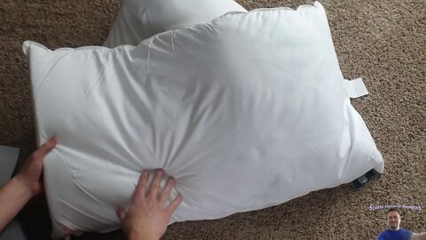 Serta 233 Thread Count White Feather Goose Down Fiber Back Sleeper 2 Pack Pillow, King