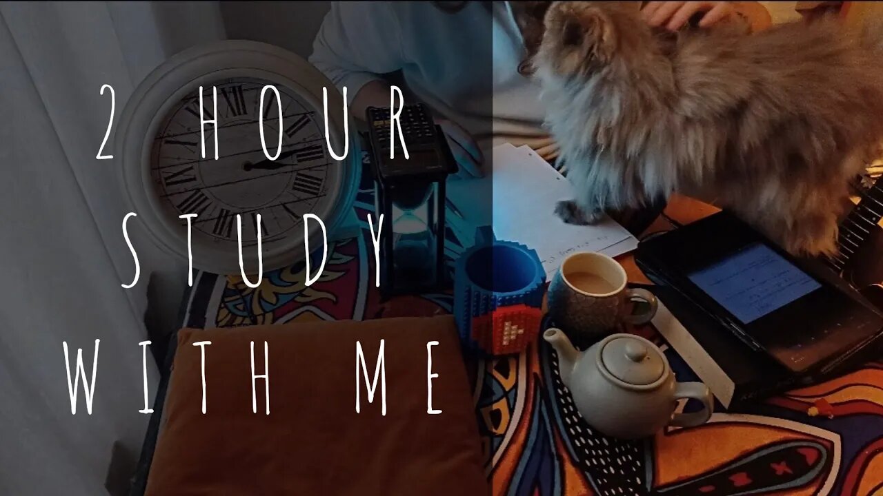 2 HOUR | STUDY WITH ME 📚 🐈 | lo-fi music Day: 22