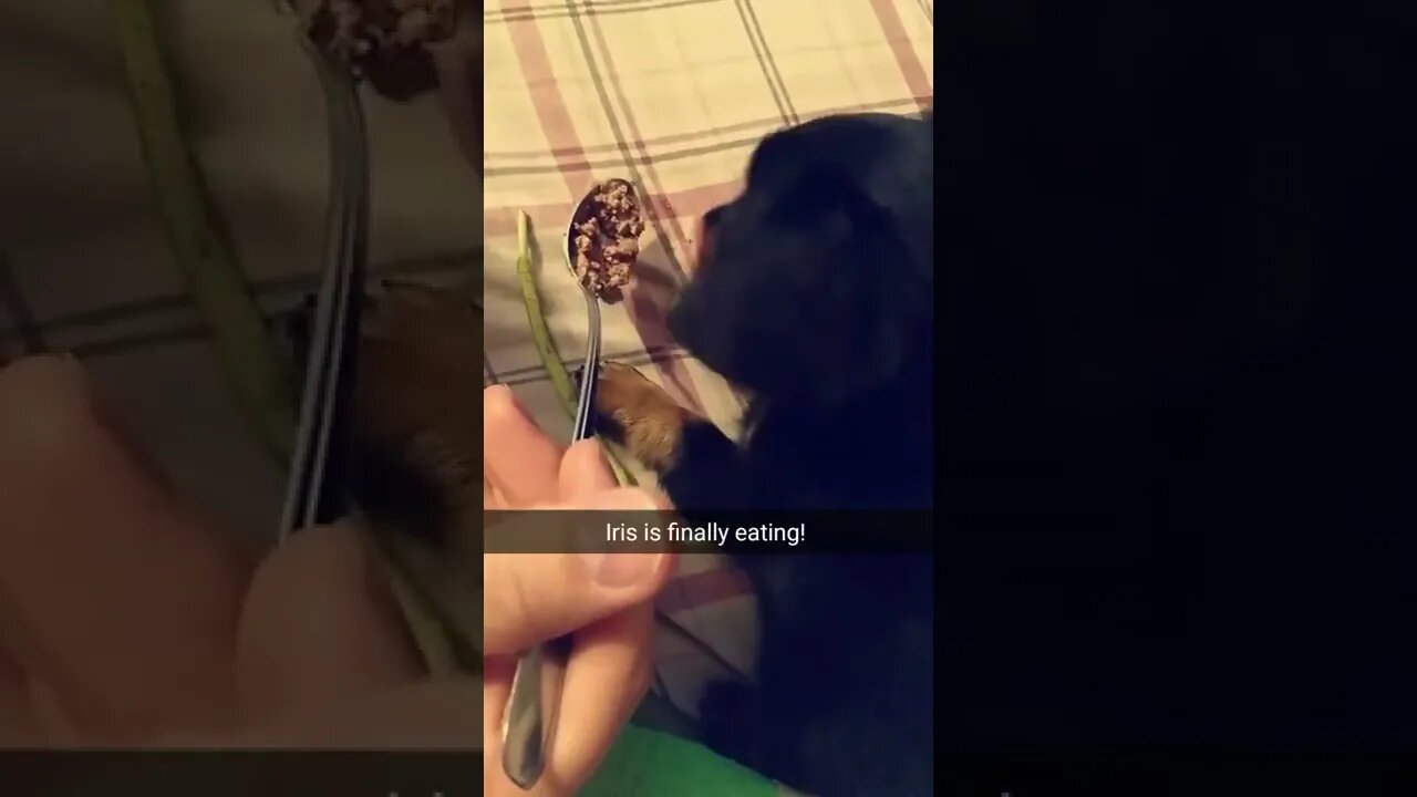 First Time Eating After Breaking Her Leg