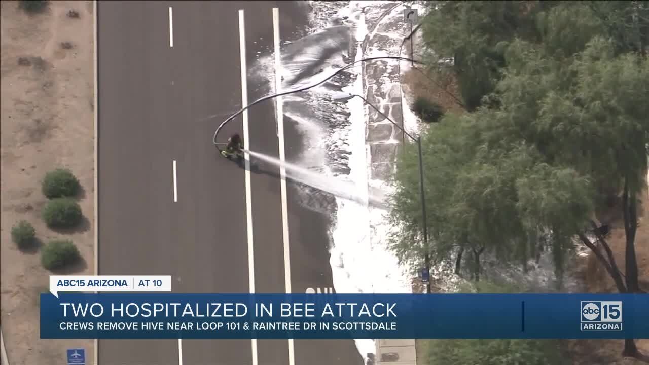 2 hospitalized in bee attack in Scottsdale