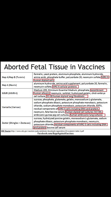 Dr. Stanley Plotkin testimony regarding aborted fetal tissue used in \/a€€ines