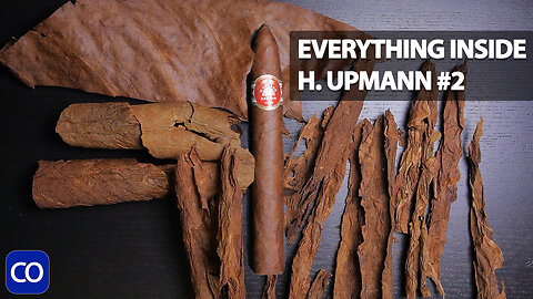 Everything Inside The Cigar Of The Year Cuban H. Upmann #2