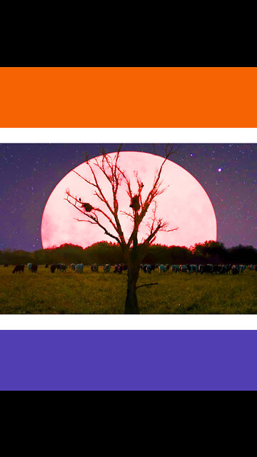 Saturday Night Pink Super Moon