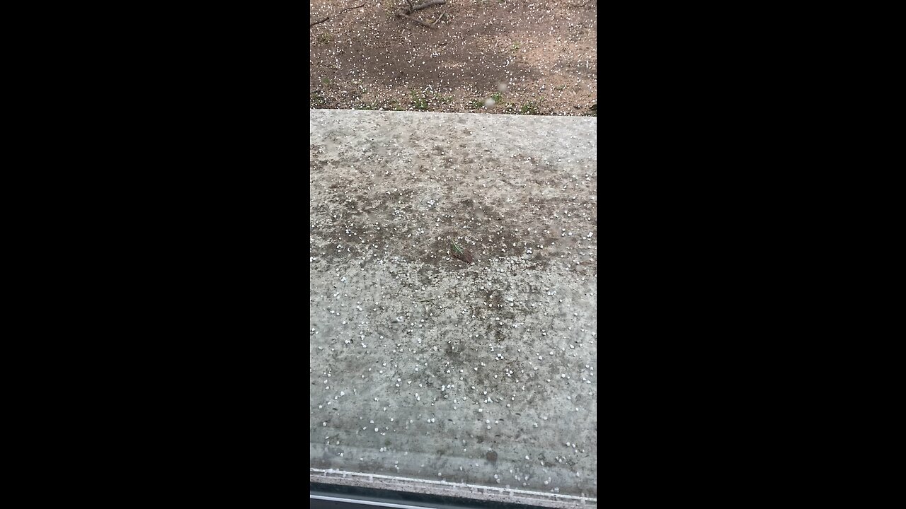 Snow falling in LA #snow fall