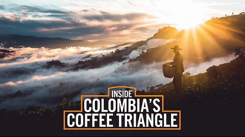 What Is the Coffee Triangle and Why Is It Important?