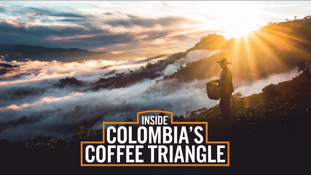 What Is the Coffee Triangle and Why Is It Important?