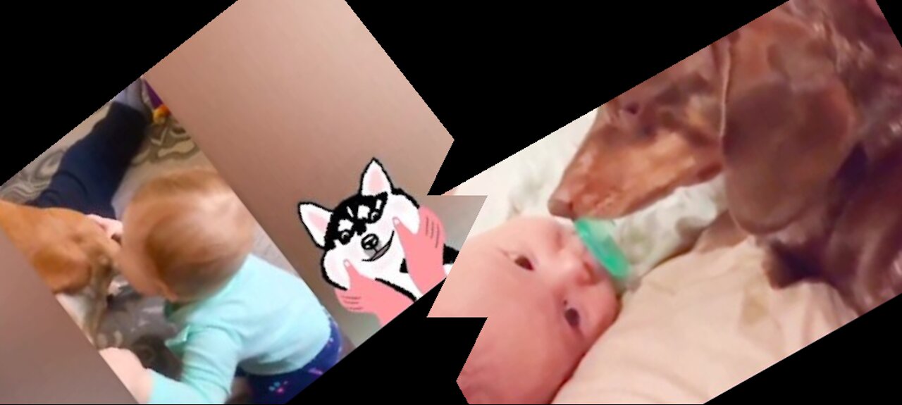 You will not believe cute babys playing with animals