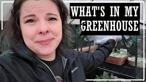 Grow a Garden With Me//Planting The Spring Garden