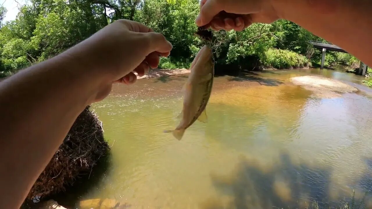 Bass Fishing Bull Run creek Manassas Va