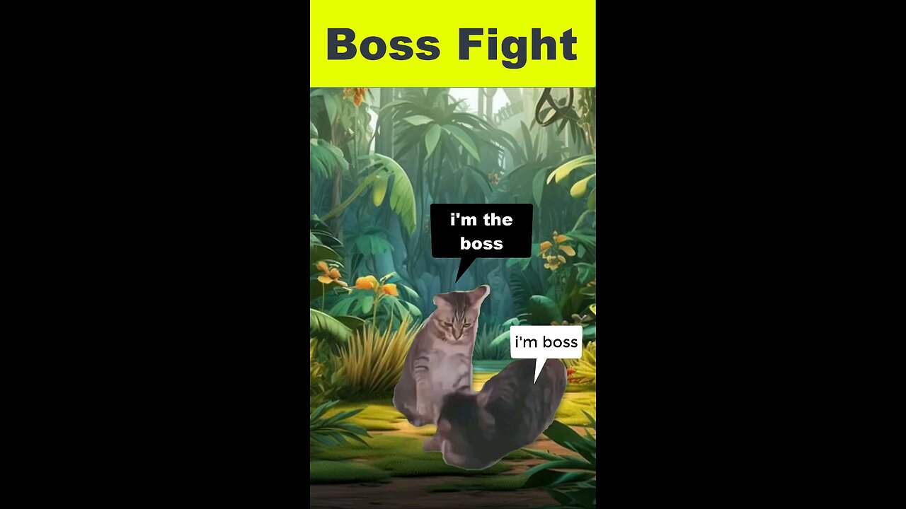 Boss cat fight