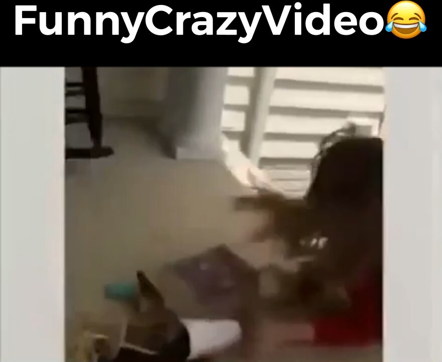 Mr FunnyCrazyVideo😂 Just Incredible Video Funny and Crazy #Like Follow for Follow 🥰