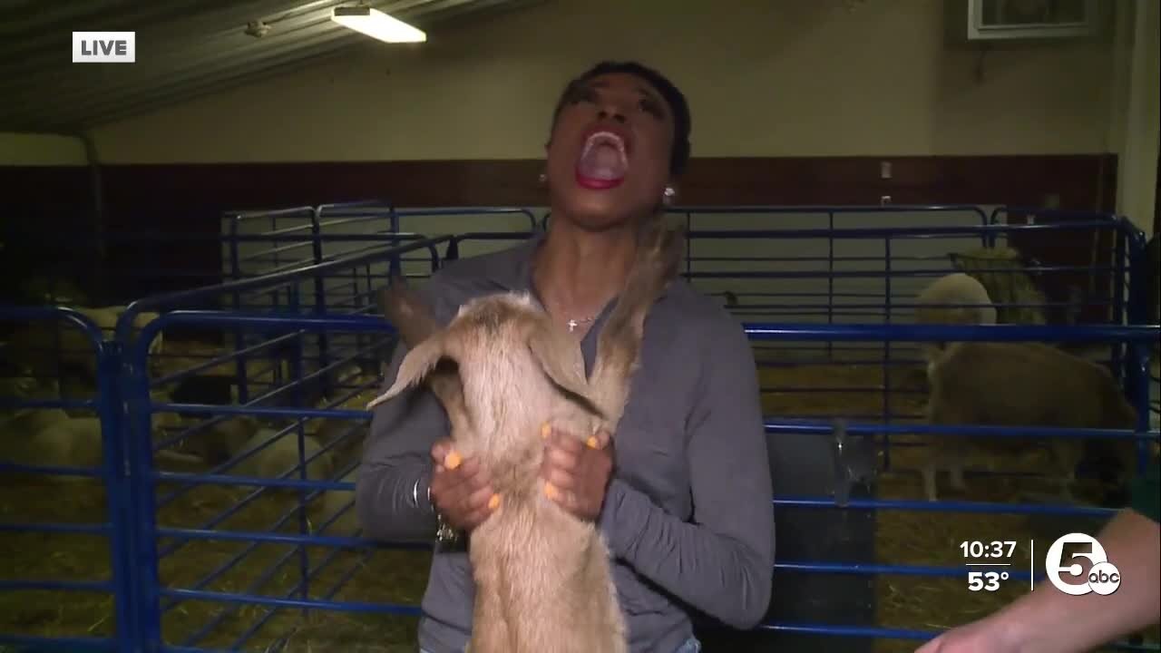 Check out this new, fun event at Lake Metroparks Farmpark