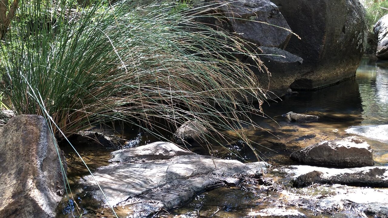 Love the sounds of a running creek๐๐OZ๐