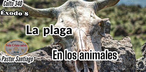 ÉXODO 9 LA PLAGA EN LOS ANIMALES