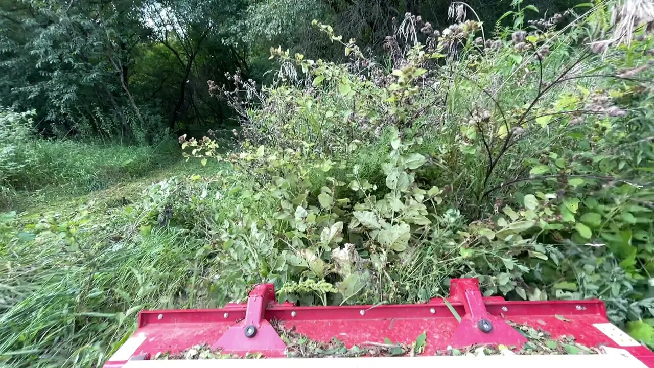 Ventrac 4500Y diesel with tough cut mowing a trail and small field.