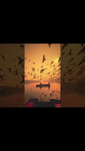 Nature is the art of gods