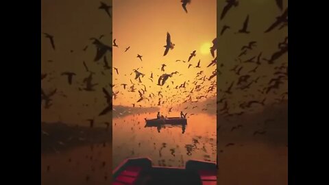 Nature is the art of gods