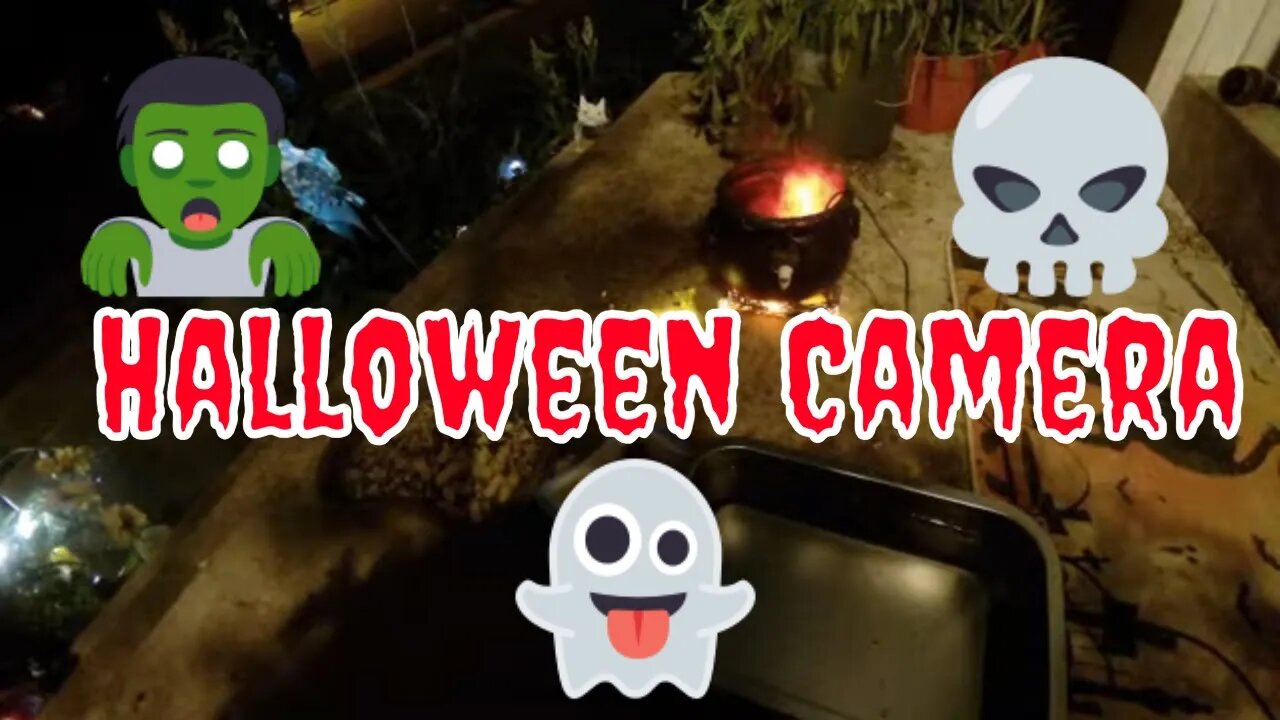 Halloween Live Cam October 9th! 🎃