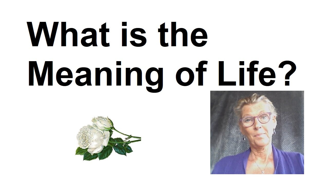 What is the meaning of life?