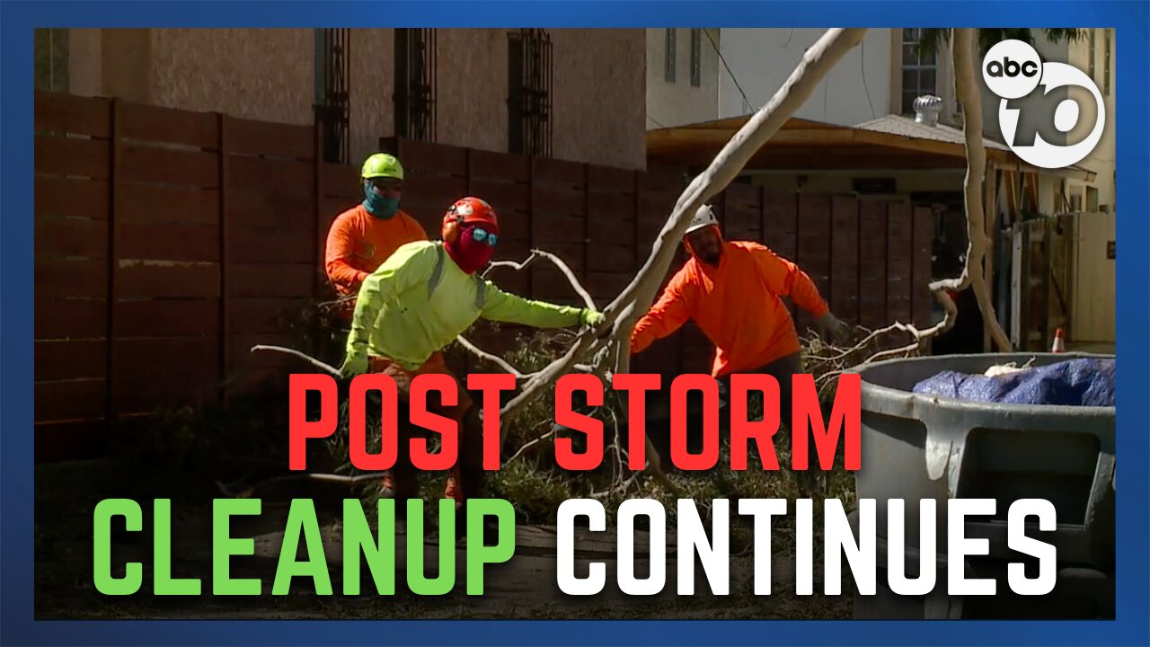 Leaning trees in City Heights come down as storm clean up gets started