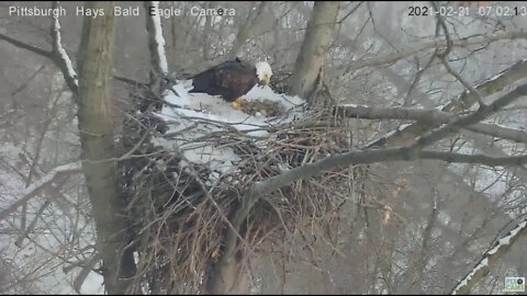 Hays Eagles Mom on high alert 2021 02 21 701AM