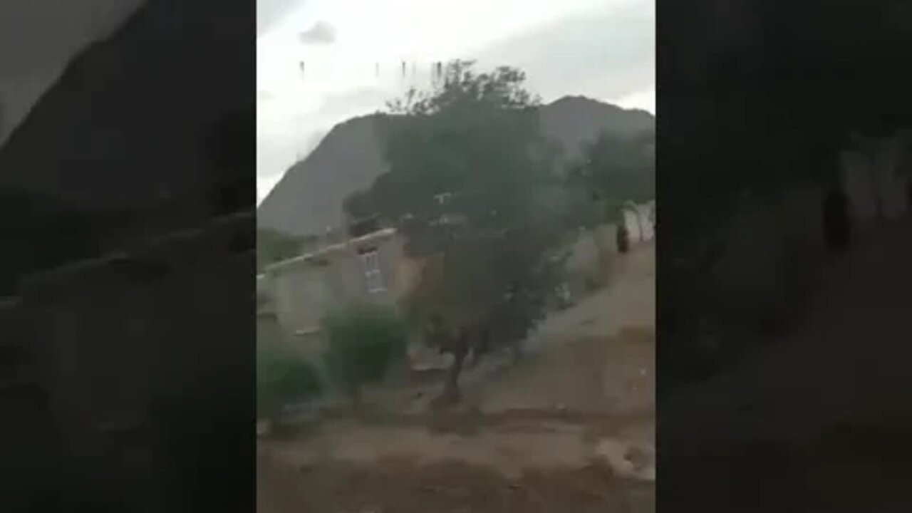 ۲۹ ژوئیهٔ ۲۰۲۲