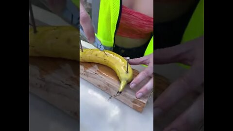 She transformed the banana…