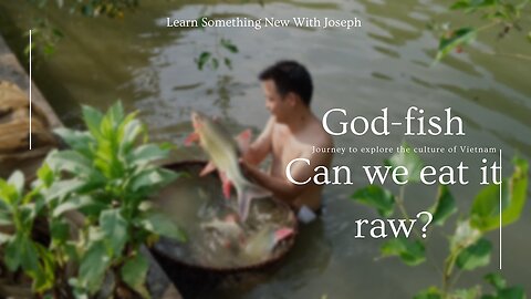 Can you EAT a God fish RAW? (Lục Yên, Yên Bái)