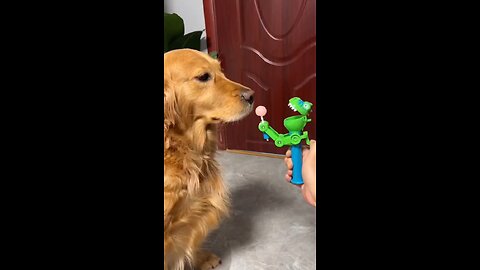 Funny video