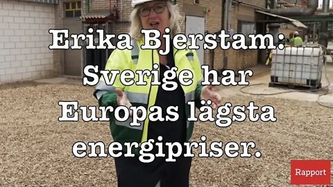 VAD KAN GÅ FEL ERIKA BJERSTRÖM?