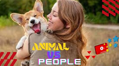 Animals Crazy Moments | Episode 134