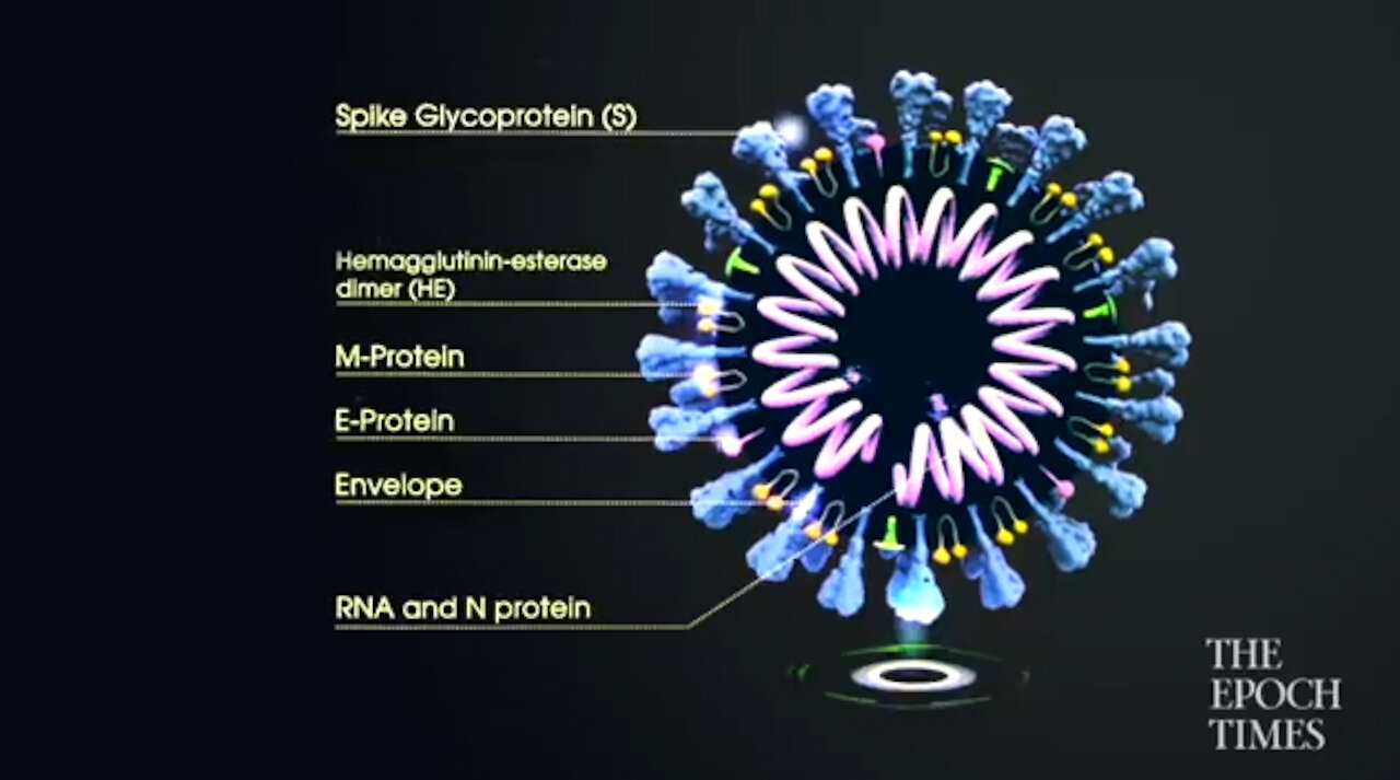 1st documentary movie on the origin of CCP virus, Tracking Down the Origin of the Wuhan Coronavirus