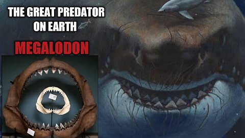 The great Predator "MEGALODON"