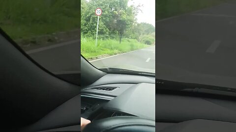 Campinas SP tá um matagal só ... falta total de zeladoria ... com asfalto novo :-(((