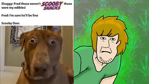 Scooby Snacks were the First Edibles | #scoobydoo #velma