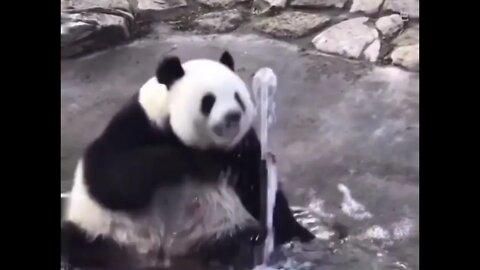I will kill you water…😏🤣🐼💦