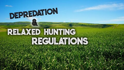 Depredation and Relaxed Deer Hunting Regulations
