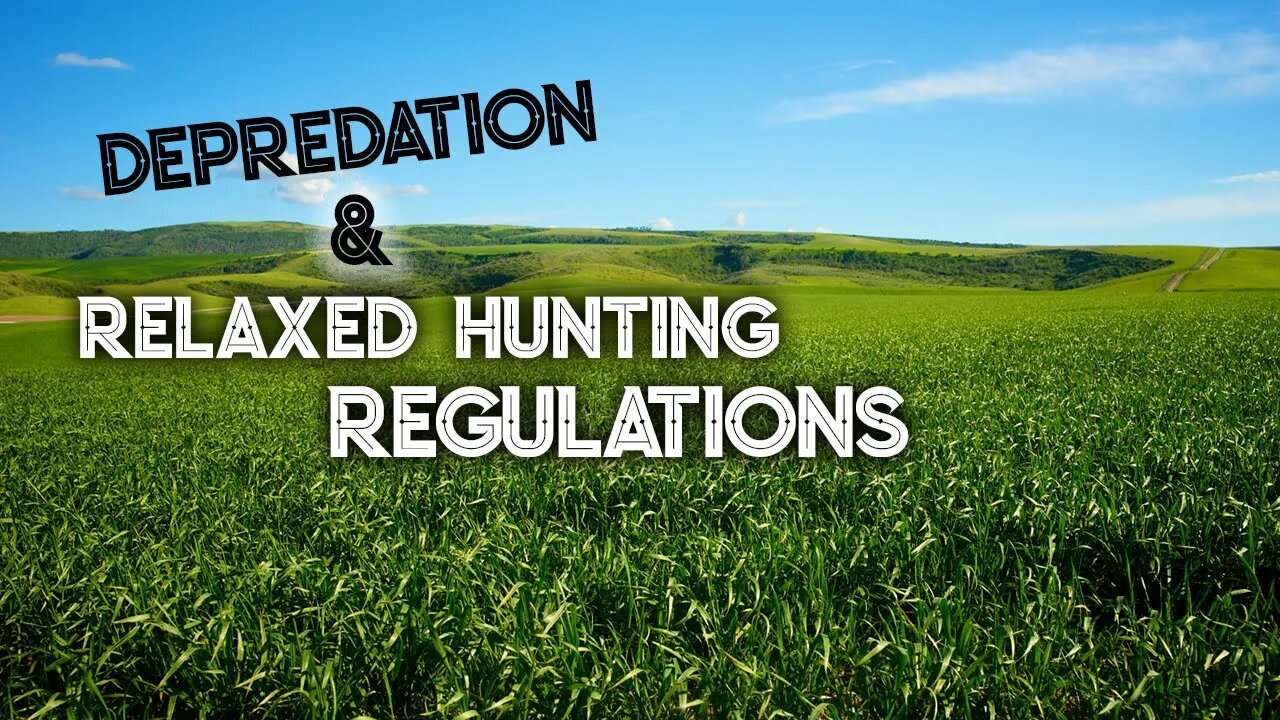 Depredation and Relaxed Deer Hunting Regulations