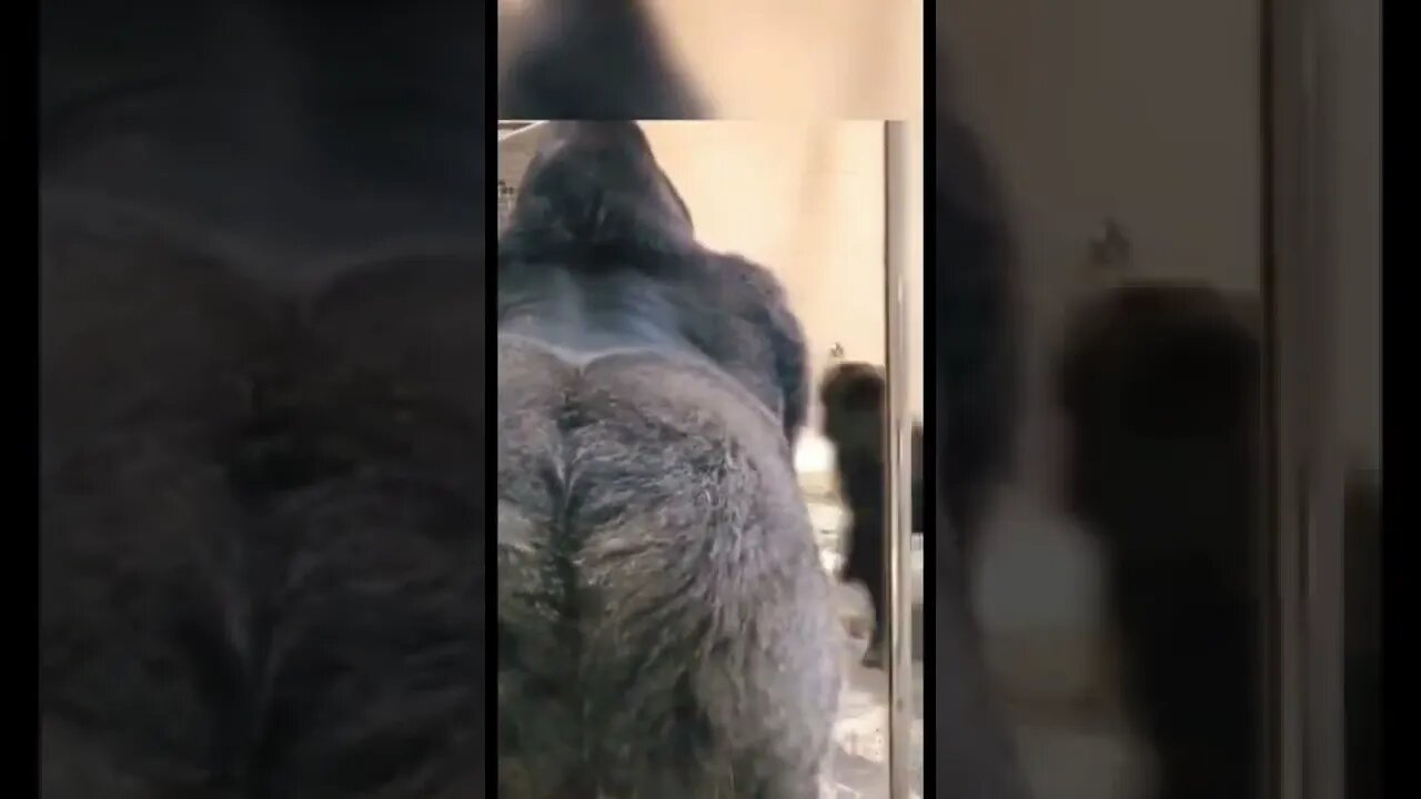 Reventando mi Cuerpo a Punta de Peso Muerto para Poder Verme Así 🍑