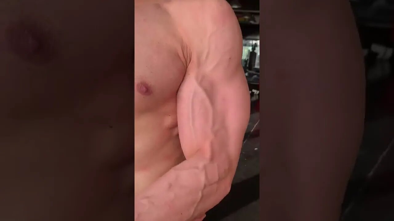 VASCULAR BICEPS #shorts #youtubeshorts
