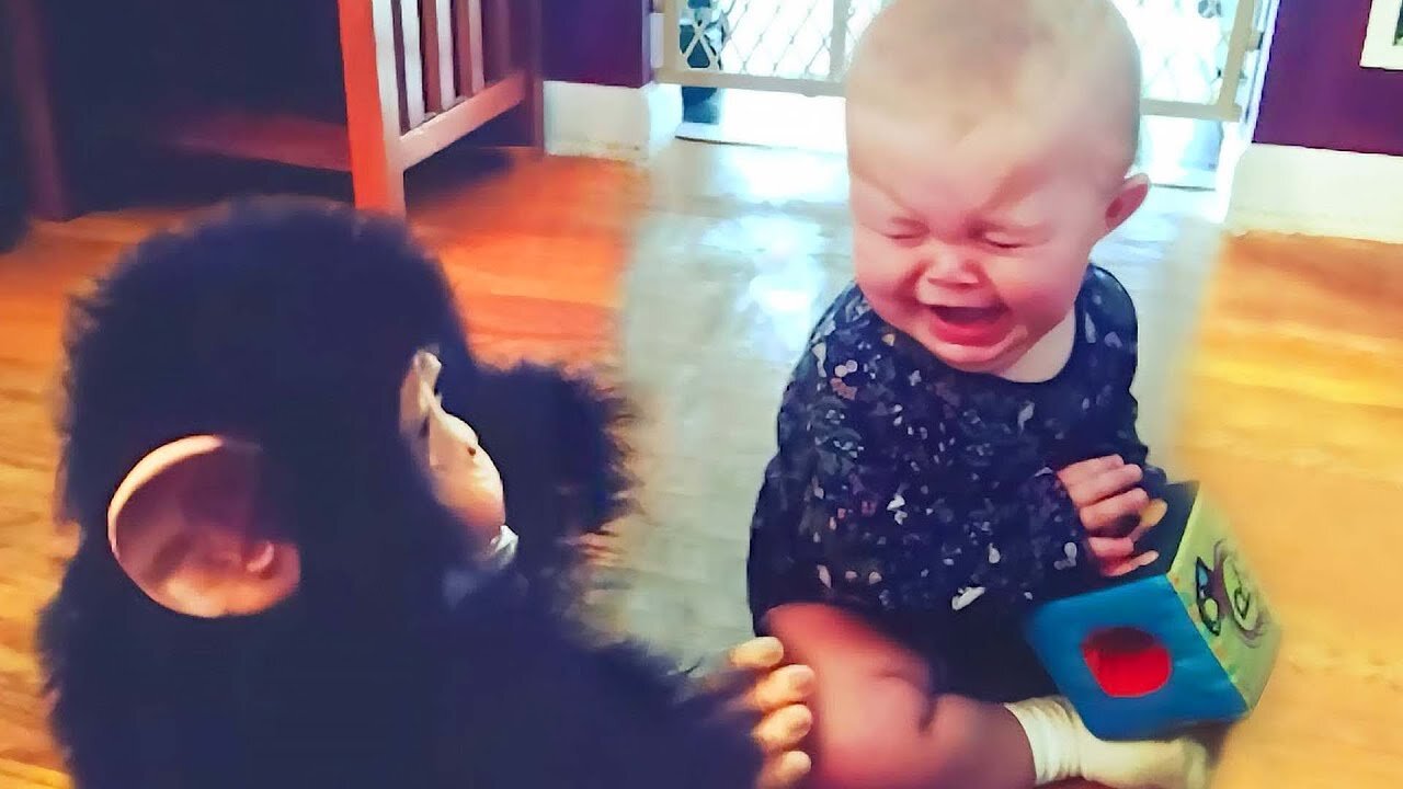 Baby's Funny Moments When Playing With Toys