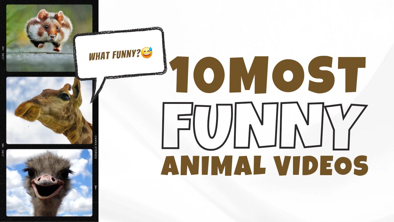 10 most Funny animal's 😅😅