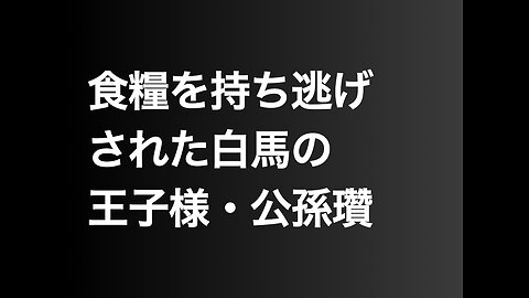 食糧を持ち逃げされた白馬の王子様・公孫瓚