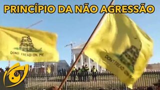 Eu sou um genuíno libertário - Visão Libertária