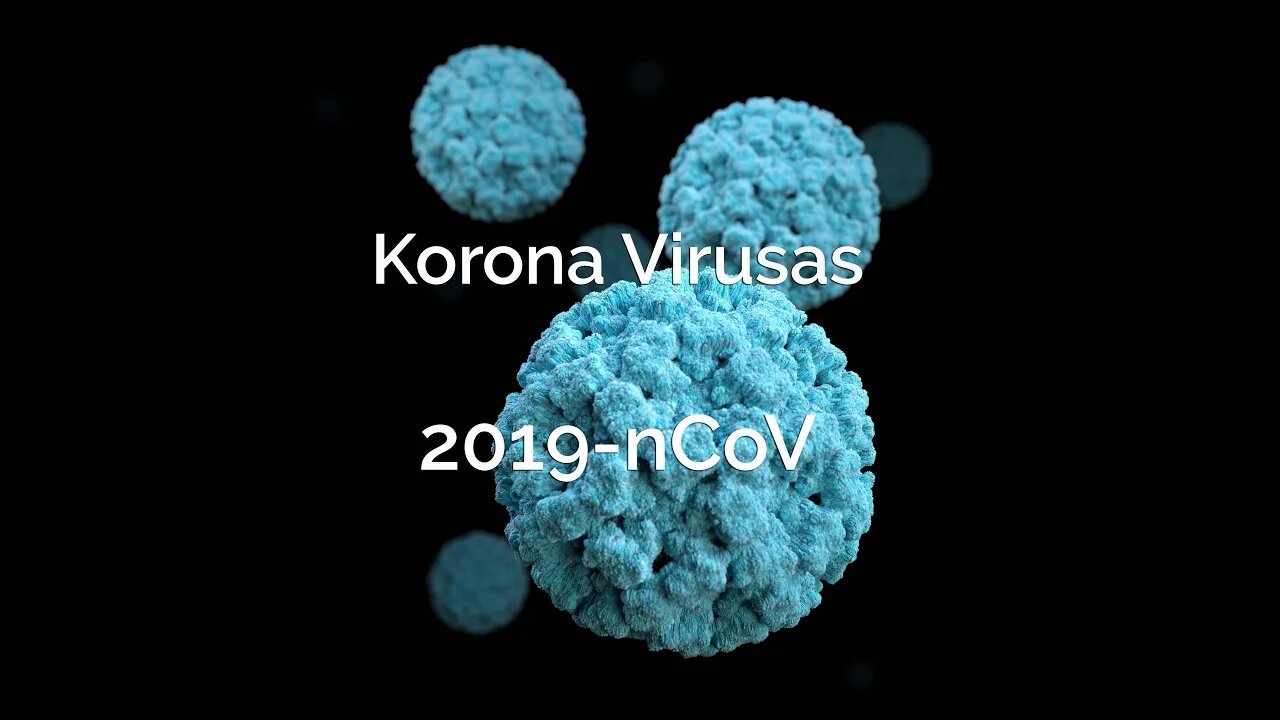 ✰✰✰✰✰ Corona virus 2019-nCoV || Korona virusas Lietuvoje