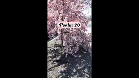 PSALMS 23