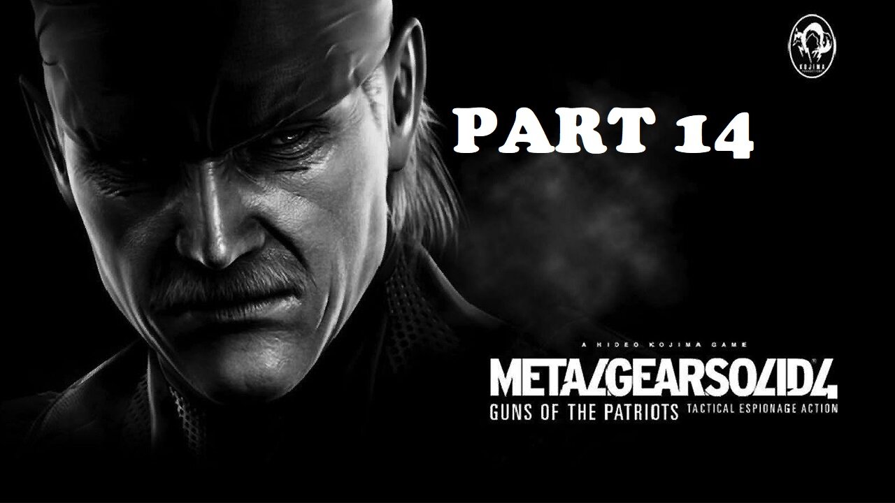 Metal Gear Solid 4 Guns of the Patriots Gameplay - No Commentary Walkthrough Part 14