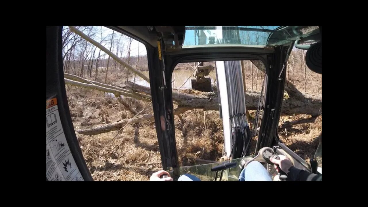 Bobcat mini excavator vs. BIG tree Starting a new deep woods road @8 acre investment property