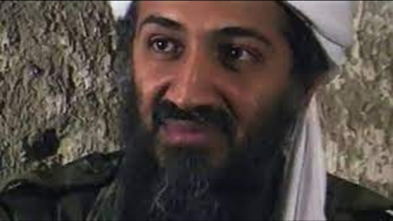 Osama bin Laden's decades-old 'Letter to America' goes viral